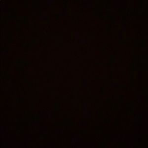 Meet your Posher, Brooklyn